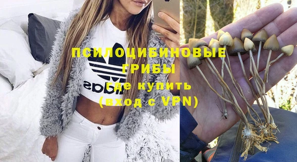 МДПВ Армянск