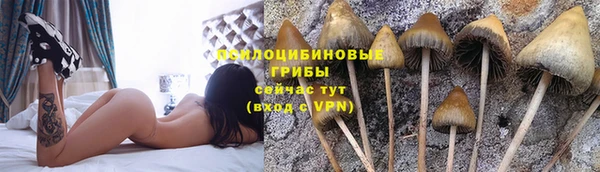 герыч Аркадак