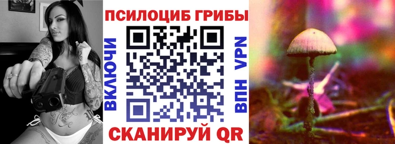 Галлюциногенные грибы Psilocybe  Аркадак 